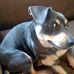 Alan Albert - Facebook