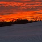 Allen Alberts - Facebook