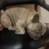 Alan alcala - @alan.alcala93 - TikTok