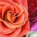 Alan Alden - Facebook