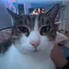 alannaalden3 - @alanna.spam12 - TikTok