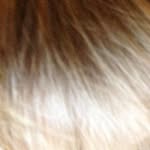 JAM1231239 - @alanaldridgeuk - Instagram