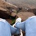 Alan Alegre - Facebook
