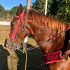 Alan Alegria - @alanalegria - TikTok