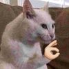 Alan_Aleixo - @Alan_Aleixo - TikTok