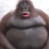 alanalejandro - @alanr_16 - TikTok
