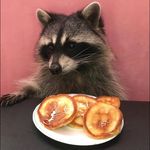 𝐀𝐥𝐚𝐧 𝐝𝐞 𝐥𝐞𝐨𝐧 𝐀𝐥𝐦𝐨𝐧𝐭𝐞 - @glass.man98 - Instagram