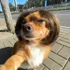 balls - @alannashouse - TikTok