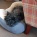 Alan Alsop - Facebook