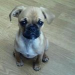 Alan Dalton - @aalandalton - Instagram