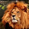 Alan Alvarez - @alan.alvarez895 - TikTok