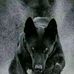 Alan Amaral - Facebook