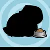 Alan/Amber - @alan...amber - TikTok
