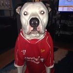 Alan Ambrose - @alanambrose4120 - Instagram