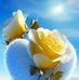 Alan Amen - Facebook