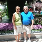 Alan Amerault - Facebook