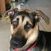 Alan Amidon - Facebook
