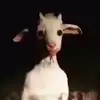 huh - @alanamie - TikTok