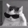 Alan Andrei - @alan.andrei6 - TikTok