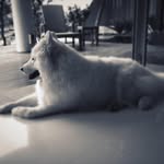 Alan Ang - @alanang16 - Instagram