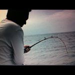 @alan_ang - Instagram