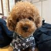 Alan Ang - @alan.ang68 - TikTok