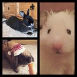 Alan_Pickle_Angus - @alan_pickle_angus_adventures - Instagram