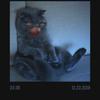 Alan schultz - @alan.schultz - TikTok