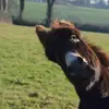 Alan Ansell - @alan.ansell - TikTok