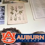 Alan Apel - @aapel67 - Instagram