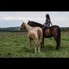 Alana Pelc - @alanapelc08 - TikTok