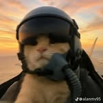 Alan Arce Haro - @alan.a.h_ - Instagram