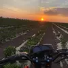 AA - @alanarellano70 - TikTok