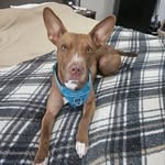 Colby Alan Castle - @colbyalancastle - Instagram