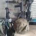 Allan Asuncion - Facebook