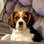 Alan Barlow - @alan.e.barlow - Instagram
