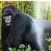 Alan Barlow - @alan.barlow58 - TikTok