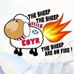 Allan Batchelor - @batchie70 - Instagram