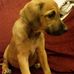 Allan Batchelor - Facebook