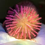 Alan Bauman - @pdogro - Instagram