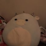 Alan Beal - @alan.beal.169 - Instagram