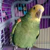 alanbeasley59 - @alanbeasley59 - TikTok