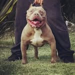 Alan Beat Flores - @alan_beat_flores - Instagram