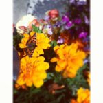 Alan Beaty - @boltmatterlaw - Instagram