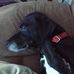 Alain Beauchemin - Facebook