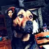 Allan Beauprė - @user928161882 - TikTok