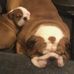 Alan Beckett - Facebook