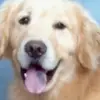 alanbedford773 - @alanbedford773 - TikTok
