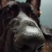Alan Bednarczyk - Facebook