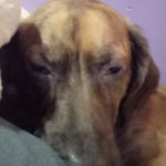 @alanbednarczyk0902 - Instagram